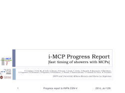 i-MCP Progress Report