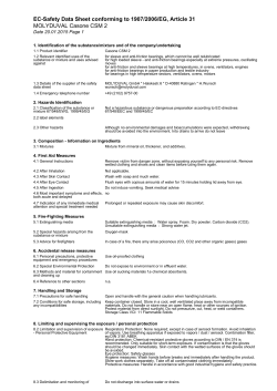 MOLYDUVAL Casone CSM 2 EC-Safety Data Sheet conforming to