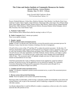 Crime and Justice Institute Special Meeting