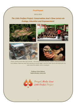Project report 2013-2014 - Peoples Trust for Endangered Species