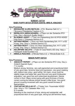 Results and Critiques - Sunday 13th July