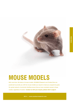 Mouse Models
