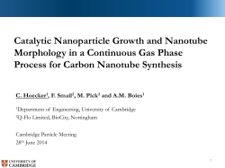 Catalytic Nanoparticle Growth and Nanotube Morphology in a