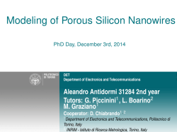 Modeling of Porous Silicon Nanowires