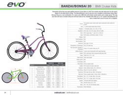 BANZAI/BONSAI 20 | BMX Cruiser Kids