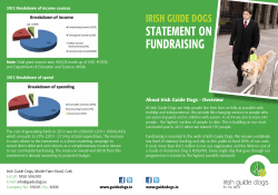 FUNDRAISING STATEMENT ON - Irish Guide Dogs for the Blind