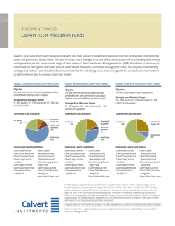 Investment Process - Calvert Investments