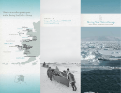 View the Brochure - Bering Sea Elders Group