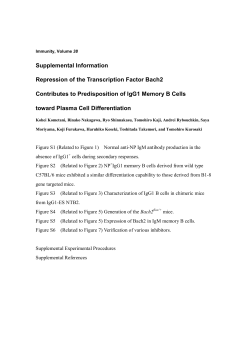 Document S1. Supplemental Experimental Procedures and