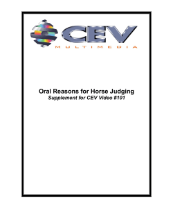 Oral Reasons for Horse Judging