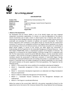 JOB DESCRIPTION