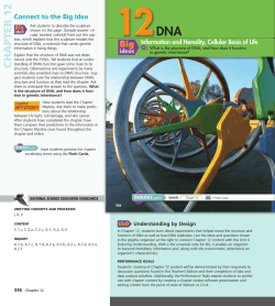 Chapter12 DNA - Lyndhurst Schools