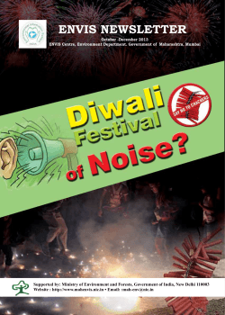 Diwali Festival of Noise?