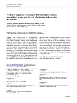 Download PDF