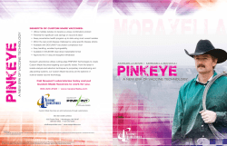 Pinkeye Detailer - Newport Laboratories