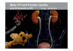 LUTs in Men/Recurrent UTIs in women/ED