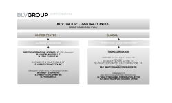 View (PDF) - blv group