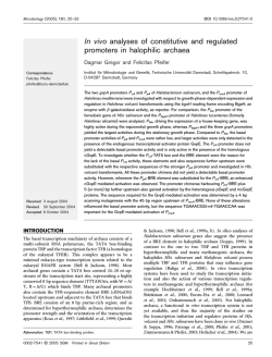 Download as a PDF