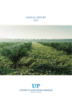 Annual Report 2013 - United Plantation