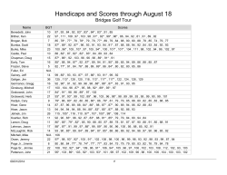 Handicaps and Scores through August 18