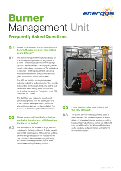 Dynamic Burner Management Unit - Energys