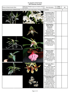 2014 Summer Auction - St. Augustine Orchid Society