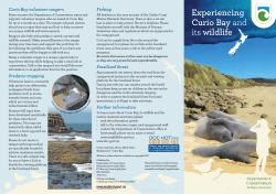 Curioi Bay wildlife brochure
