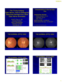 The Funny Looking Optic Nerve