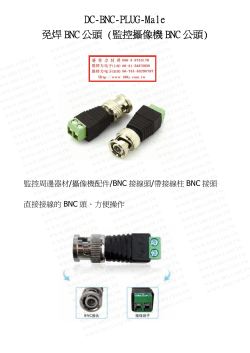 DC-BNC-PLUG-Male 免焊BNC 公頭(監控攝像機BNC 公頭)