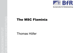 The MSC Flaminia Thomas Höfer
