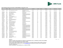 Holdings - AMG Funds
