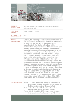 Download full project outline and contact details