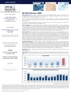 CEFX Index Insights - S-Network Global Indexes, Inc.