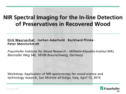 NIR Spectral Imaging for the In-line Detection of Preservatives in