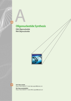 DNA Oligonucleotide