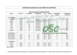 Unfallsicherheitsschuhe nach BGR 191 Zertifiziert - Fuss