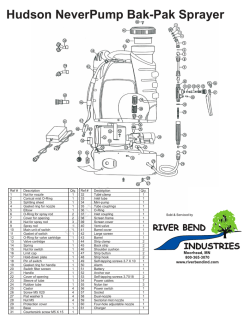 Hudson NeverPump Bak-Pak Sprayer