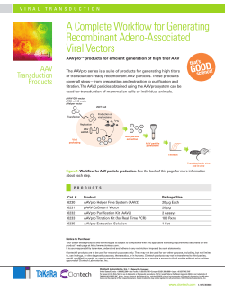 A Complete Workflow for Generating Recombinant Adeno