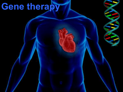 2. Gene therapy-ppt