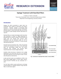 Septage Treatment with Reed Bed Filters