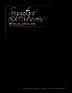 Download Catalogue