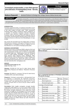 Download PDF - The Global Journals