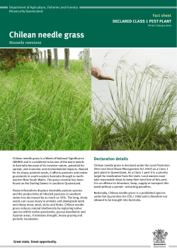 Chilean needle grass - Department of Agriculture, Fisheries and