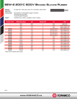 SEW-2 200°C 600V BraidEd SiliConE ruBBEr