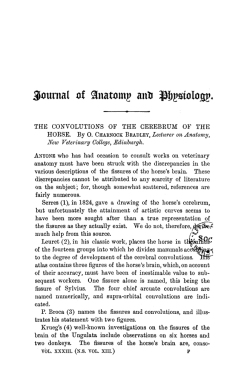 journal of auatomy aub PIMio0o0.
