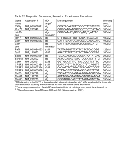 Table S2. Morpholino Sequences, Related to Experimental