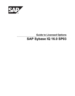 IQ 16.0 SP3 &ndash; Guide to Licensed Options &ndash; SAP, Inc