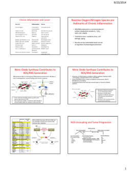 Dr. Mikkelsen Chronic Inflammation and Cancer