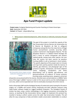 Ape Fund Project update