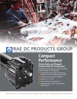 RAE Parallel Shaft DC Gearmotors
